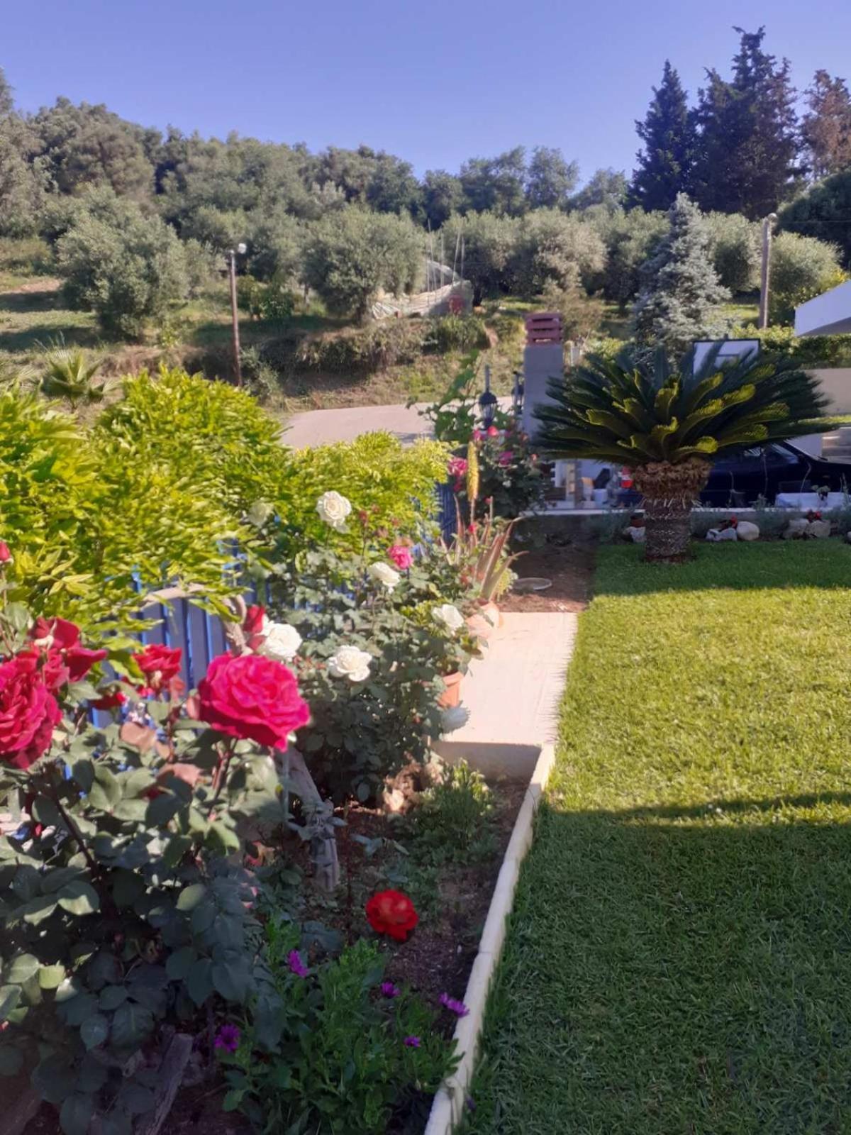 Simos' Sea View House Villa Nikopolis ภายนอก รูปภาพ